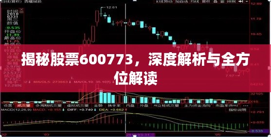揭秘股票600773,深度解析与全方位解读