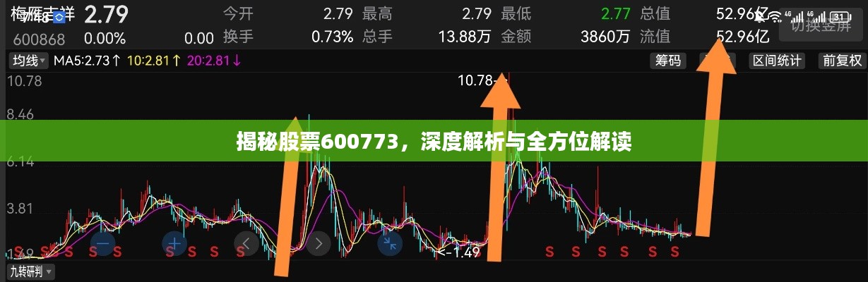 揭秘股票600773,深度解析与全方位解读