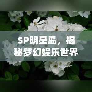 SP明星岛,揭秘梦幻娱乐世界,体验全新魅力之旅