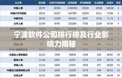 宁波软件公司排行榜及行业影响力揭秘