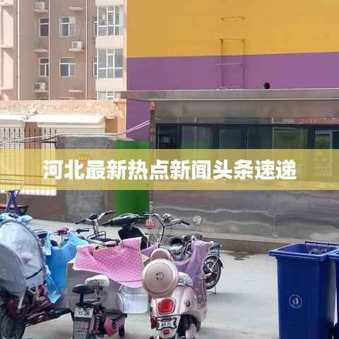 河北最新热点新闻头条速递