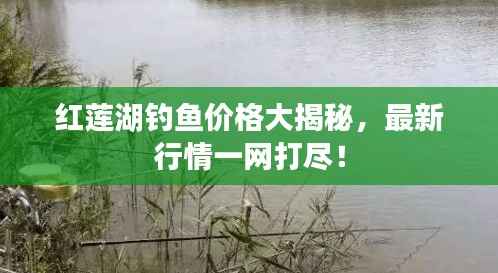 红莲湖钓鱼价格大揭秘，最新行情一网打尽！