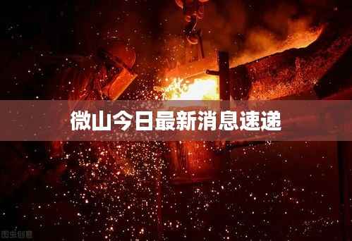 微山今日最新消息速递