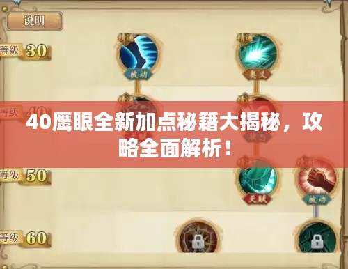 40鹰眼全新加点秘籍大揭秘，攻略全面解析！