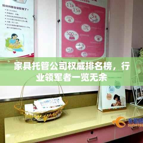 家具托管公司权威排名榜，行业领军者一览无余