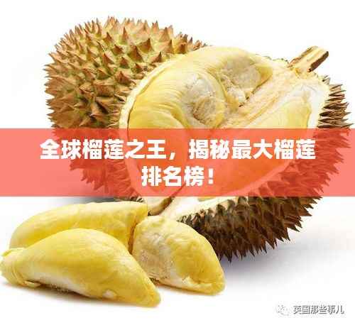 全球榴莲之王，揭秘最大榴莲排名榜！
