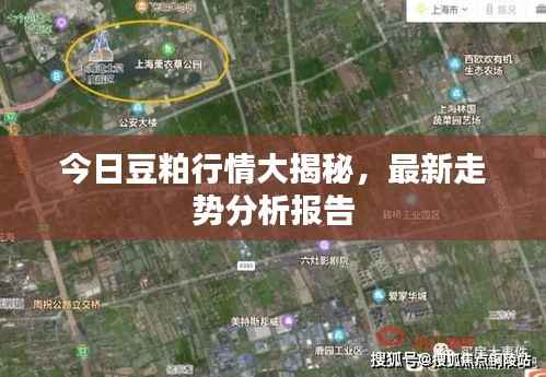 今日豆粕行情大揭秘，最新走势分析报告