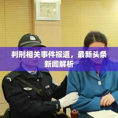 判刑相关事件报道，最新头条新闻解析
