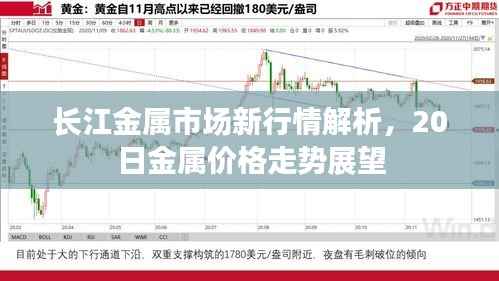 长江金属市场新行情解析,20日金属价格走势展望