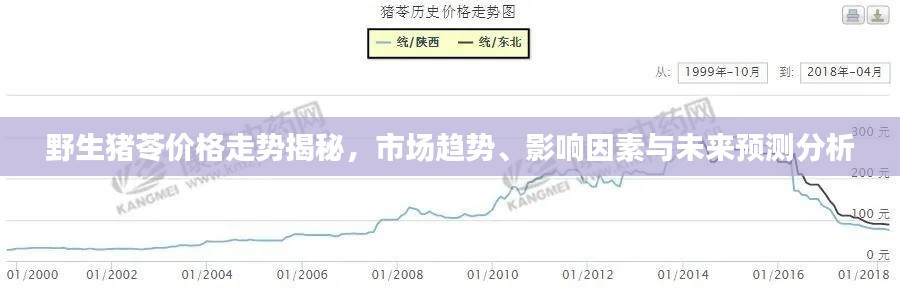 野生猪苓价格走势揭秘，市场趋势、影响因素与未来预测分析