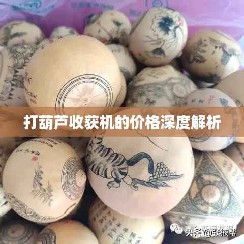 打葫芦收获机的价格深度解析