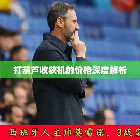 打葫芦收获机的价格深度解析