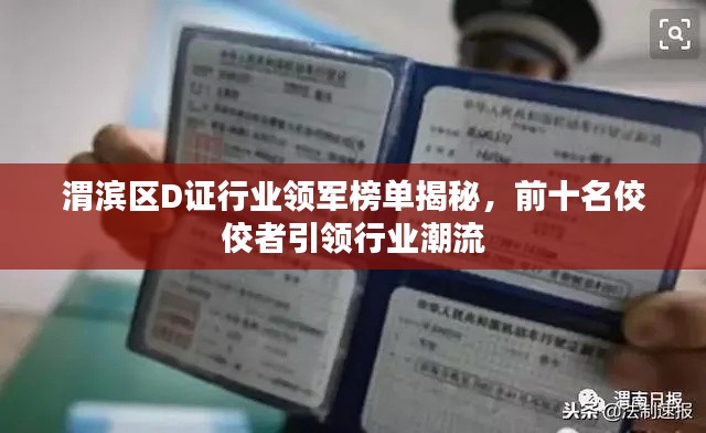 渭滨区D证行业领军榜单揭秘，前十名佼佼者引领行业潮流