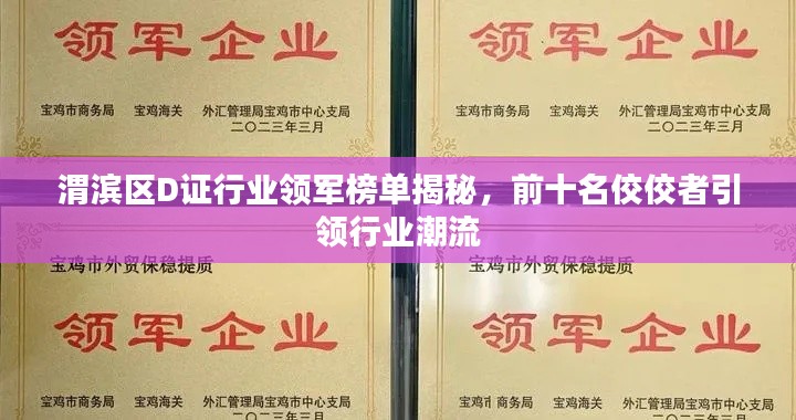 渭滨区D证行业领军榜单揭秘,前十名佼佼者引领行业潮流