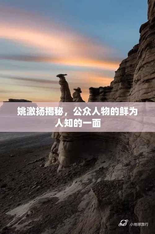 姚激扬揭秘，公众人物的鲜为人知的一面