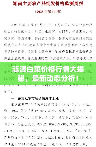 涟源白菜价格行情大揭秘，最新动态分析！