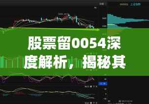 股票留0054深度解析，揭秘其独特魅力与投资机会