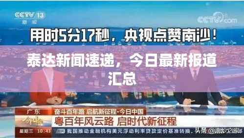 泰达新闻速递，今日最新报道汇总
