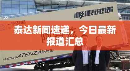 泰达新闻速递,今日最新报道汇总