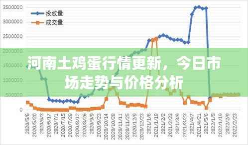 河南土鸡蛋行情更新，今日市场走势与价格分析