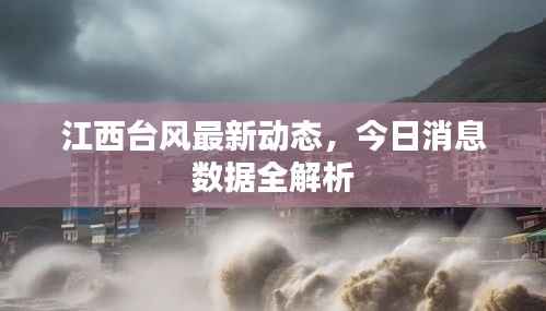 江西台风最新动态，今日消息数据全解析
