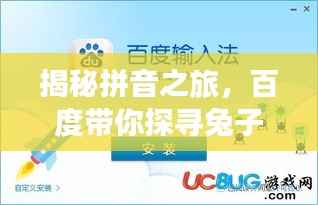 揭秘拼音之旅，百度带你探寻兔子的正确拼音发音