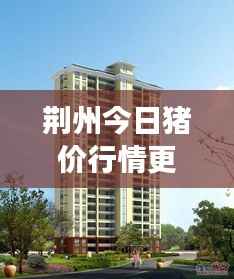 荆州今日猪价行情更新，最新市场动态消息速递