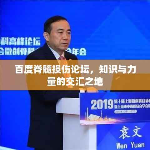 百度脊髓损伤论坛，知识与力量的交汇之地