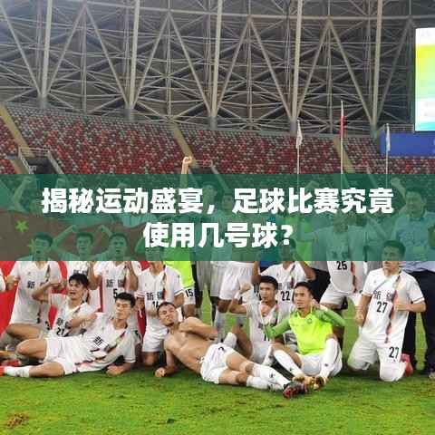 揭秘运动盛宴，足球比赛究竟使用几号球？