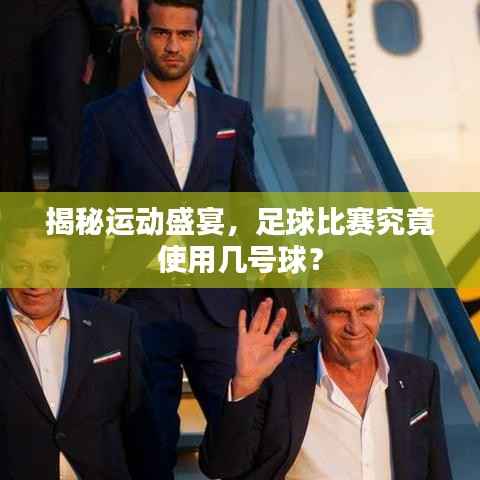 揭秘运动盛宴,足球比赛究竟使用几号球?