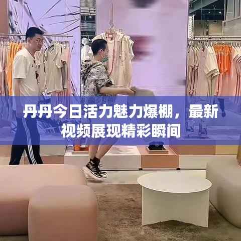 丹丹今日活力魅力爆棚，最新视频展现精彩瞬间