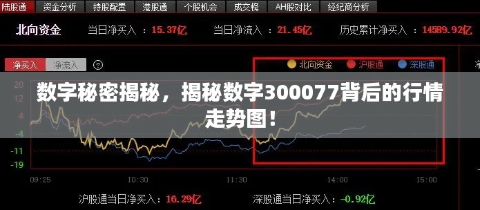 数字秘密揭秘，揭秘数字300077背后的行情走势图！