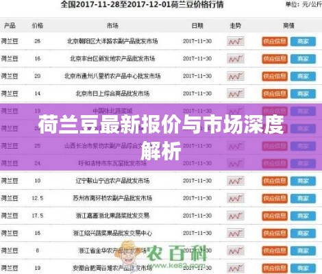 荷兰豆最新报价与市场深度解析
