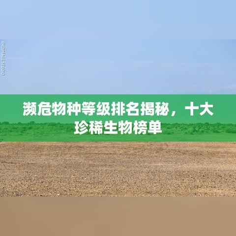 濒危物种等级排名揭秘，十大珍稀生物榜单