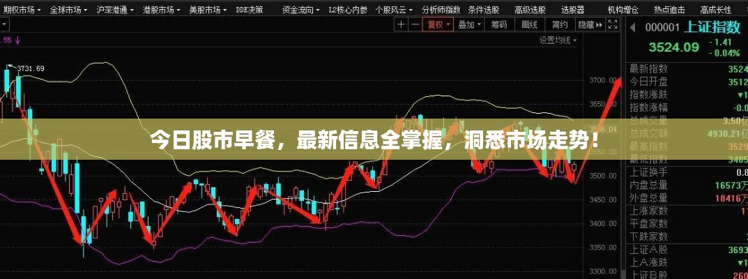 越鸟南栖 第3页