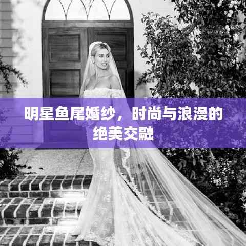 明星鱼尾婚纱,时尚与浪漫的绝美交融