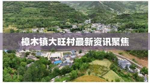 樟木镇大旺村最新资讯聚焦
