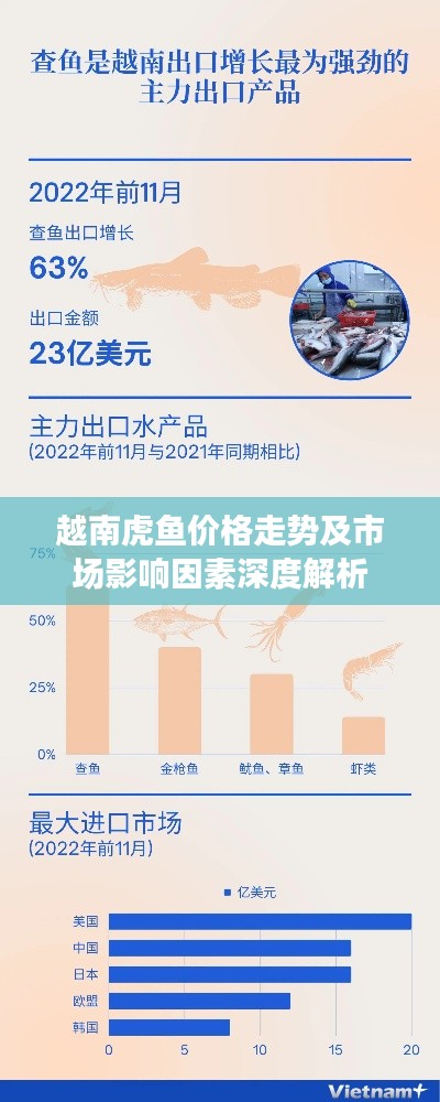 越南虎鱼价格走势及市场影响因素深度解析