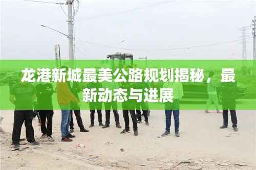 龙港新城最美公路规划揭秘，最新动态与进展