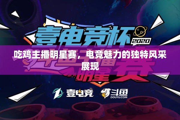 吃鸡主播明星赛,电竞魅力的独特风采展现