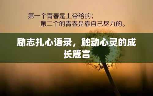 励志扎心语录，触动心灵的成长箴言