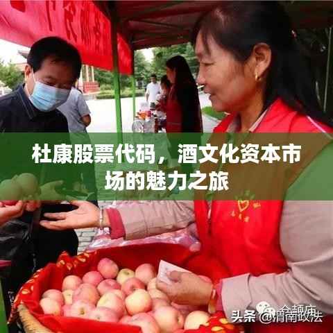 杜康股票代码，酒文化资本市场的魅力之旅
