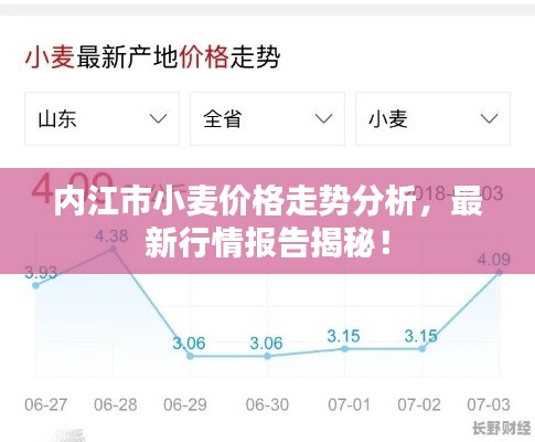 内江市小麦价格走势分析，最新行情报告揭秘！