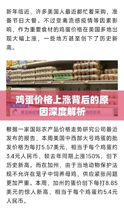 鸡蛋价格上涨背后的原因深度解析