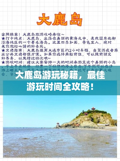 大鹿岛游玩秘籍，最佳游玩时间全攻略！