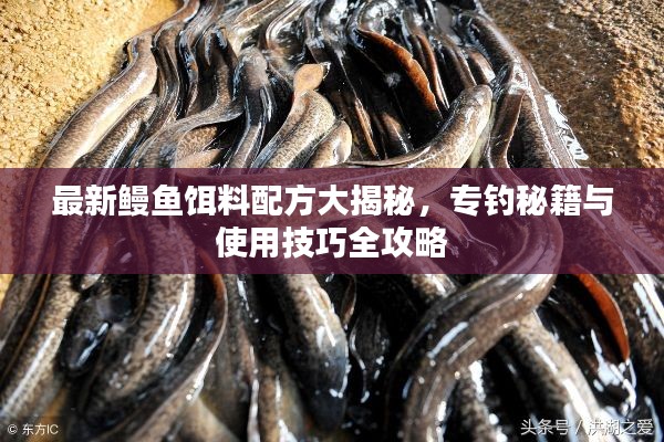 最新鳗鱼饵料配方大揭秘,专钓秘籍与使用技巧全攻略
