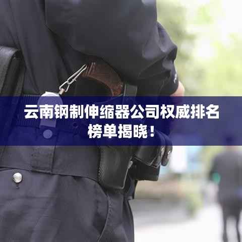 云南钢制伸缩器公司权威排名榜单揭晓!