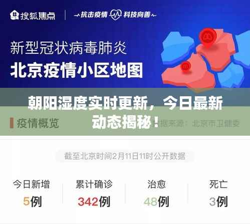 朝阳湿度实时更新，今日最新动态揭秘！