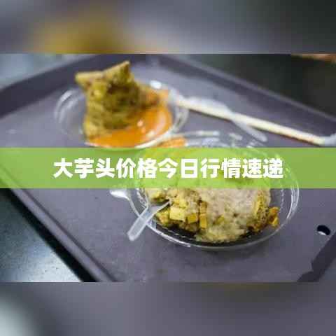 大芋头价格今日行情速递