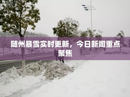 随州暴雪实时更新,今日新闻重点聚焦